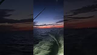 Reel Deal Sportfishing is live!