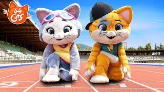  Paris 2024 | Lampo and Milady at the Olympics | 44 Cats