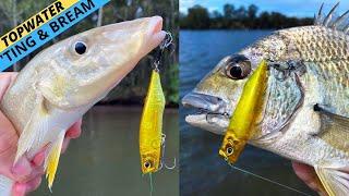 DEADLY Topwater Tactics For BREAM & WHITING! (Plus A Killer New Surface Lure Revealed)