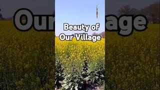 Dehati Beauty Scene ️ #pendu #desivlogs #villagelife #dehati #vlog #shorts #trending #villageboy