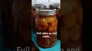 Pressure canning beef stew #canningforbeginners #canning #pressurecanning #beefstew