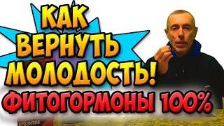 КАК ВЕРНУТЬ МОЛОДОСТЬ! Фитогормоны 100 %! Островский. Похудеть, поправиться, пиелонефрит, запор.