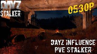 Обзор ️ DayZ | INFLUENCE | PvE STALKER