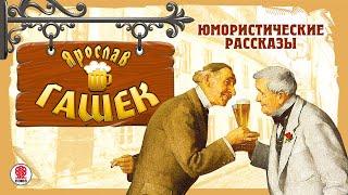 ЯРОСЛАВ ГАШЕК «ЮМОРИCТИЧЕСКИЕ РАССКАЗЫ». Аудиокнига. Читают Александр Клюквин, Александр Котов