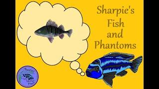 Sharpies Fish and Phantoms