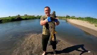 Рыбалка на ручье на диких Сибирских сазанов ( год спустя на том же месте)
