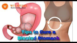 Tips to cure a bloated stomach | @Witapedia