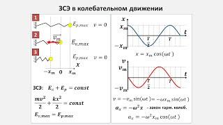 Рассмотрение темы: "Закон сохранения энергии в колебательном движении" #самара #школа #физика