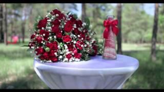 Beautiful Wedding (красивая свадьба) Nickelback - Far Away