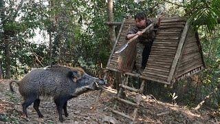 Build tree shelters, to prevent wild animals from attacking, survival alone