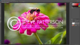 How to Watermark Photos in Photoshop