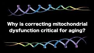 Why Is Correcting Mitochondrial Dysfunction Critical for Aging? | Lifespan.io Crowdfunding Campaign