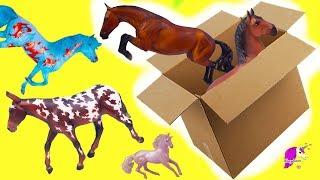 Box of New Horses ! Traditional, Club, Freedom Series  Breyer Horse Haul Video