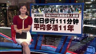 无需枯燥健身计划   研究：每日步行111分钟   平均多活11年 | 新闻报报看 29/11/2024