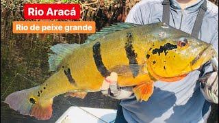 EXPEDIÇÃO AO RIO ARACÁ - AMAZÔNIA #pescaesportiva #tucunare #tucunareacu