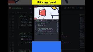 CSS Radio Group  A Comprehensive Guide to Styling and Customizing Radio Buttons