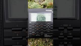 Tecsun PL-660 outdoors with internal antenna. Работа за городом на встроенную антенну.