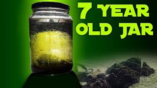 A 7 YEAR OLD CLOSED ECOSYSTEM IN A JAR - The Natural Ecosphere