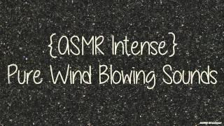 [ASMR] INTENSE Pure Wind Blowing Sounds