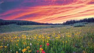 Spring Sunrise Peaceful Morning Instrumental Background Music With Birds