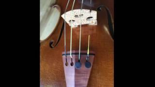 testing Tricolore (Heifetz) set G string