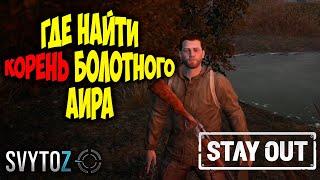 Где найти корень болотного аира | Svytoz | Stay Out