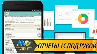 Работа с отчетами : Мобильная торговля Моби-С