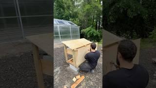 Building a house for my snapping turtle!