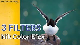 3 Favourite Photo Filters for Extra IMPACT in Color Efex - Nik Collection 7 | DxO