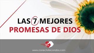 ️ Las 7 Mejores Promesas de Dios (Grandes Promesas Bíblicas Cristianas)