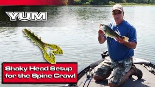 YUM Spine Craw Shaky Head Setup (How To Rig)