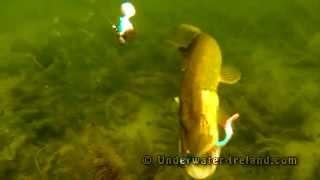 Fishing experiment: pike attack lure / soft-bait + spinner underwater. Рыбалка атака щуки