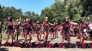 Epic Cheer Battle #ladydawgs x #rebels #homewood #fyp #subscribe #viralvideo #likeandsubscribe