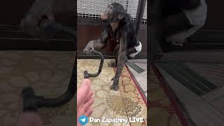 НИКОГДА НЕ БЕРИТЕ ЖЕНЩИН В СПОРТЗАЛ!!!