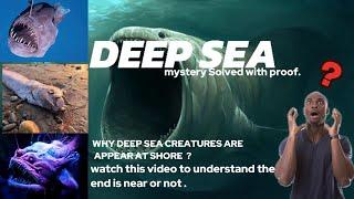 Why deep sea creatures visit the shore | underwater mystery solved