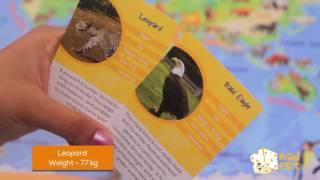 How to Play Madzzle: Worldopedia Animal Kingdom