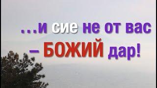 Ибо благодатью вы спасены через веру – Проповедь Андреас Патц