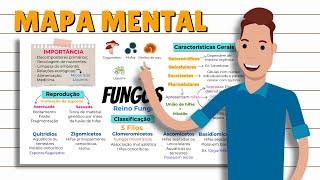 MAPA MENTAL do REINO FUNGI