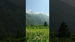 Switzerland or France? #switzerland #chamonix #frenchalps #montblanc #mountains