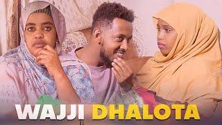 Faya Jiru | Wajji Dhalota | New movie Afaan Oromo | 2024