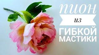 ПИОН КОРАЛ САНСЕТ /PEONY CORAL SUNSET/ИЗ САМОЙ ЛУЧШЕЙ МАСТИКИ