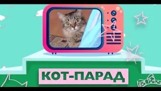 Кот парад Выпуск №2