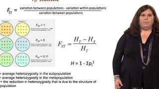 Measuring Genetic Variation (FST Statistic) - Sarah Tishkoff (U. Pennsylvania)