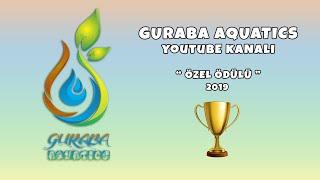 1. Guraba Aquatics Youtube Kanalı Özel Ödülü - 2019