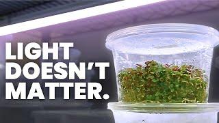 4 Things I Got Totally Wrong About Tissue Culture