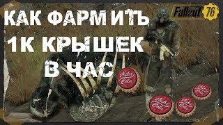 FALLOUT 76 | ГАЙД КАК ФАРМИТЬ КРЫШКИ!!! ( 1К В ЧАС,БЕЗ БАГОВ)