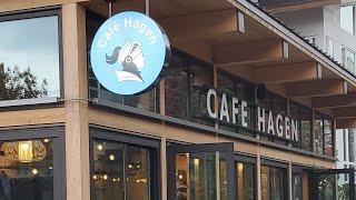 Cafe Hagen Coffee Review (Seattle, WA)- Natural Ethiopia