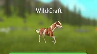 WildCraft Аккаунт Ириска! 200 lvl с мистиками!