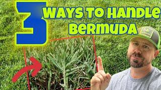 My Top 3 Methods For Handling Bermuda In A Cool Season Lawn