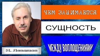 ЧЕМ ЗАНИМАЕТСЯ СУЩНОСТЬ МЕЖДУ ВОПЛОЩЕНИЯМИ. Николай Левашов. #познавательное #сущность #послесмерти